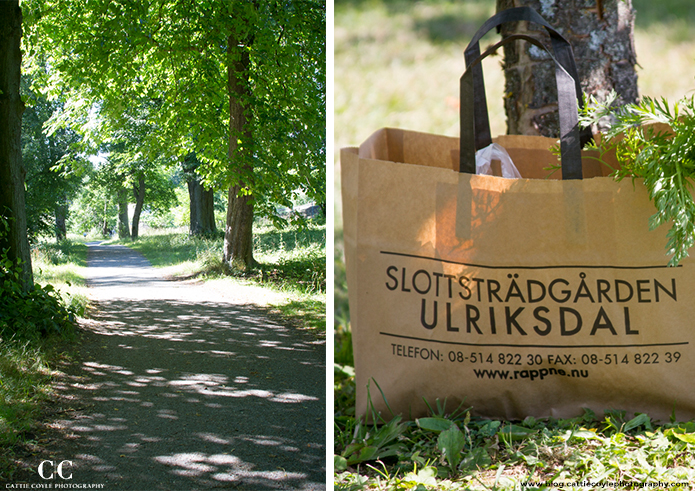 Things to do in Stockholm: Ulriksdal Garden Centre by Cattie Coyle Photography