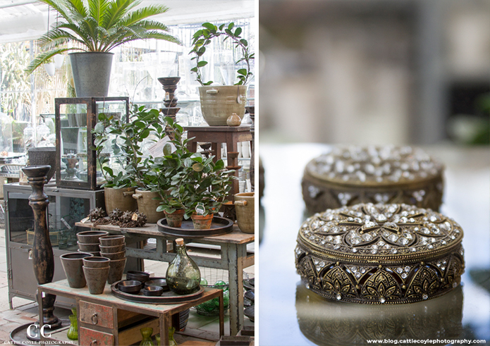 Things to do in Stockholm: Ulriksdal Garden Centre shop by Cattie Coyle Photography