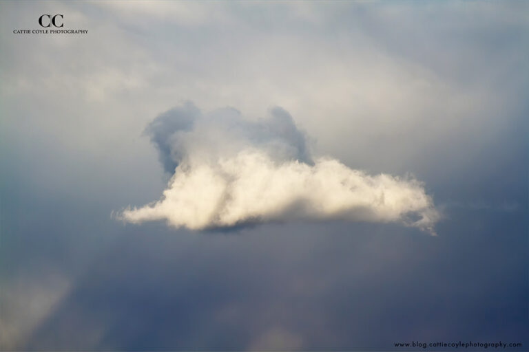 Cloud No 4 - Fine art print by Cattie Coyle Photography. © 2017, all rights reserved.