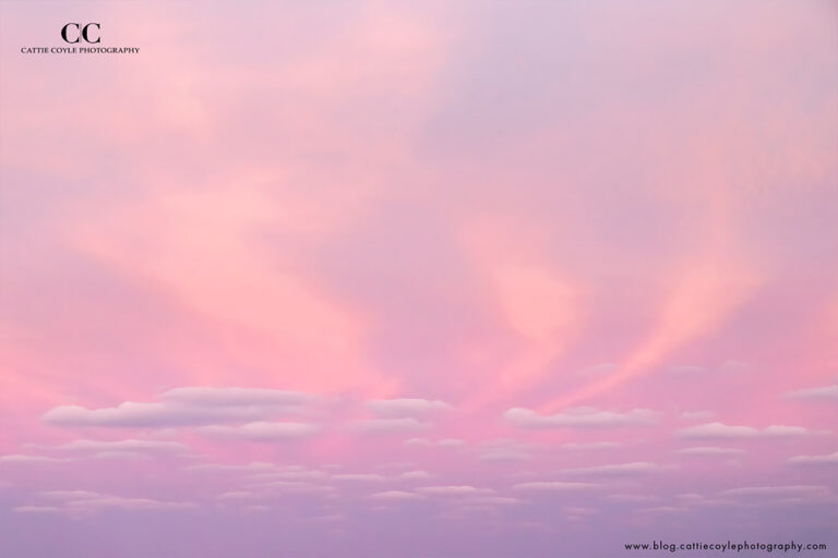 Pink clouds by Cattie Coyle Photography. © 2017, all rights reserved.