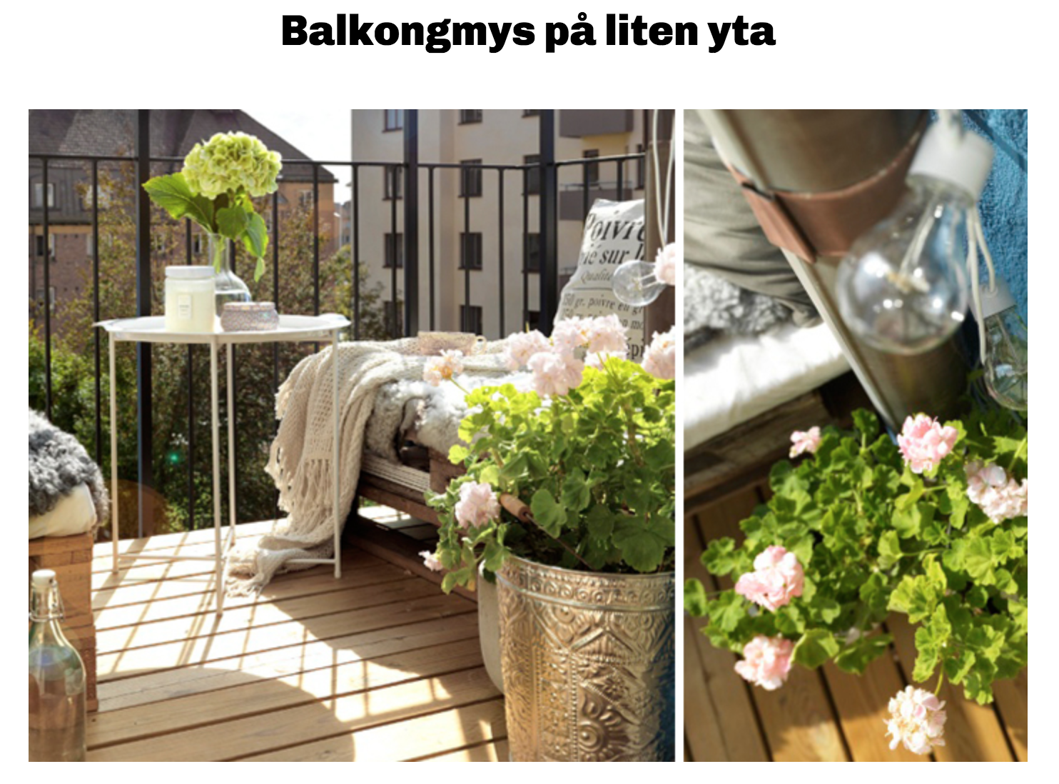 Balkongmys, Allt i Hemmet