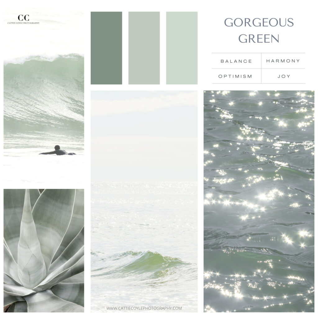Green mood board by Cattie Coyle Photography. © 2026, all rights reserved.