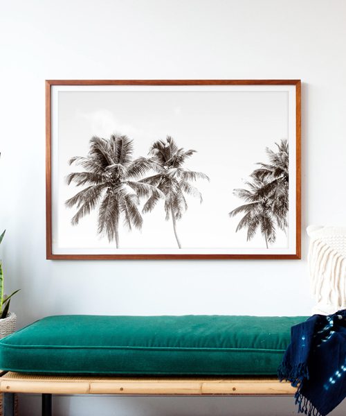 Palm Trees No. 2 by Cattie Coyle Photography