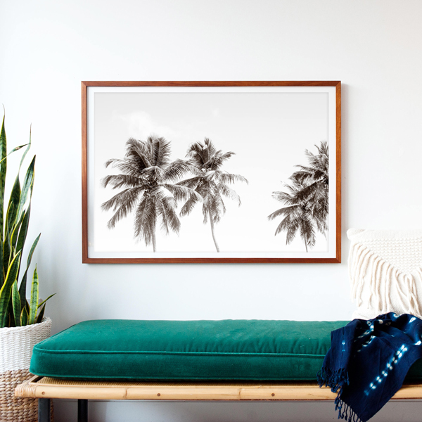 Palm Trees No. 2 by Cattie Coyle Photography
