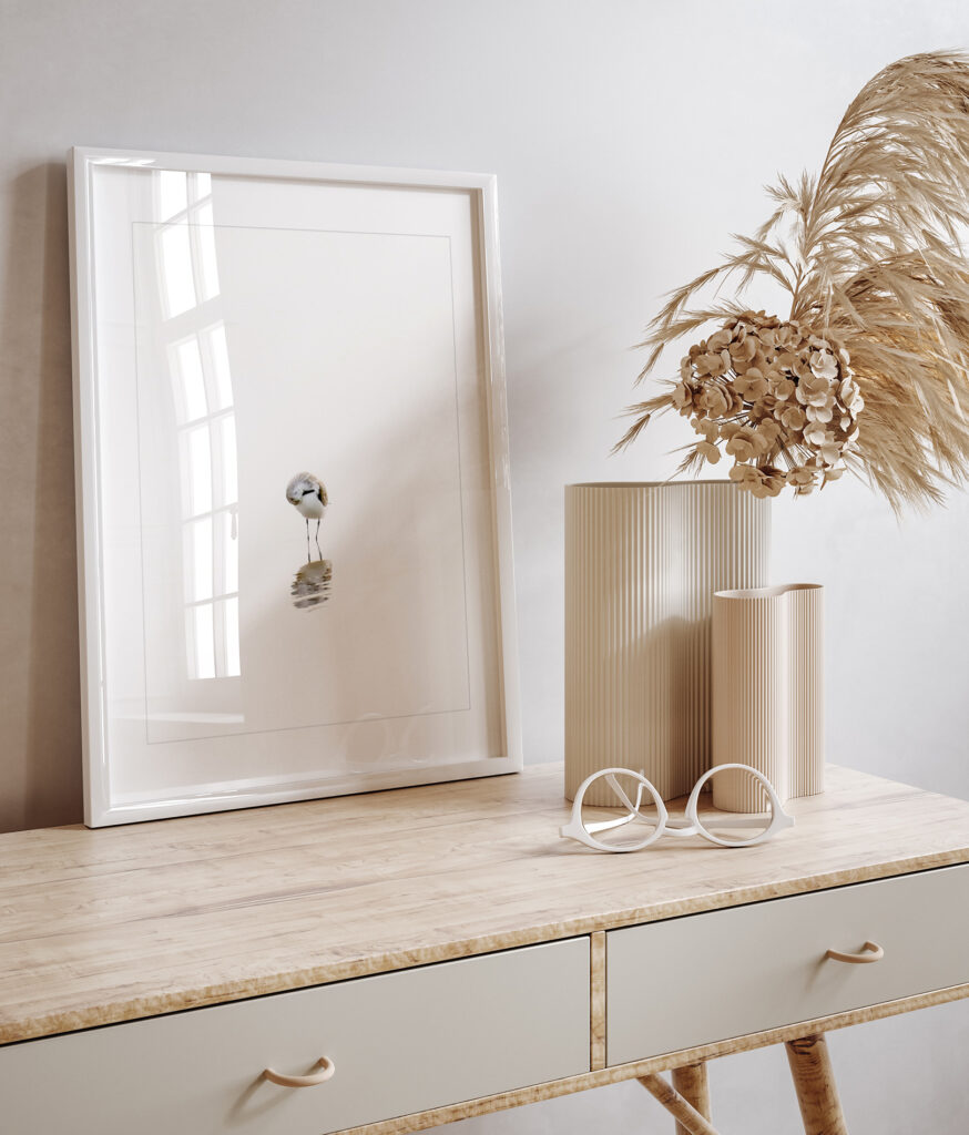 Sandpiper art print by Cattie Coyle Photography. © 2017, all rights reserved.