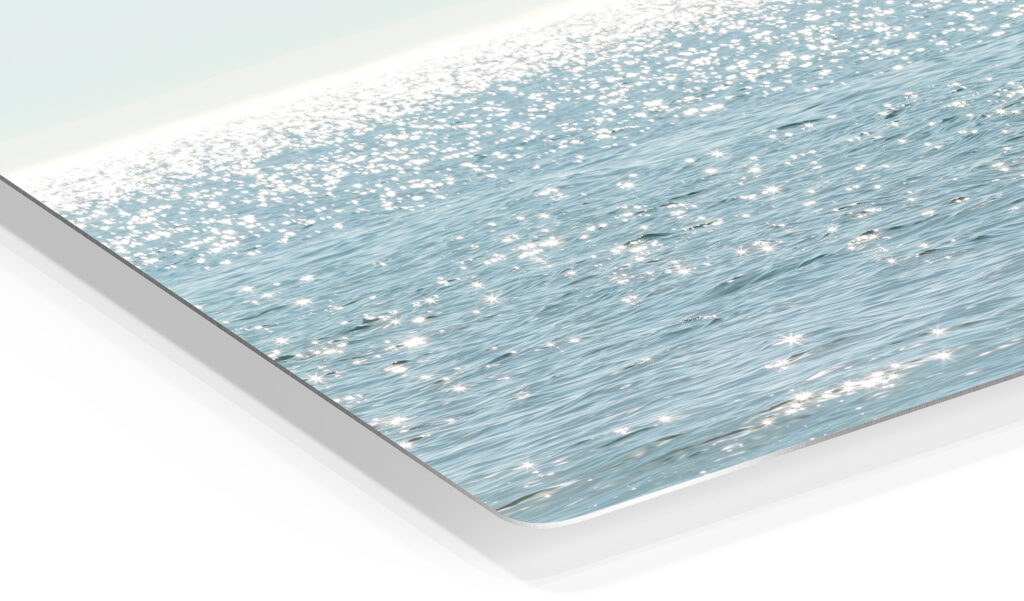 Closeup of metal art print by Cattie Coyle Photography. © 2022, all rights reserved.