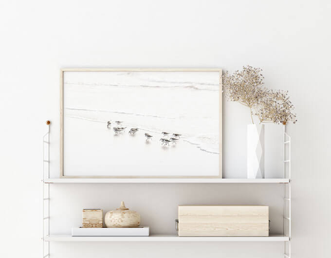 Sandpipers No 6 - Shore birds art print by Cattie Coyle Photography