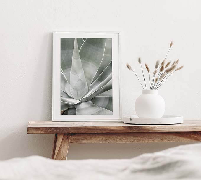 Fox Tail Agave - succulent art print by Cattie Coyle Photography