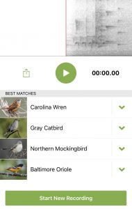 10 Favorite Things: Merlin Bird ID App