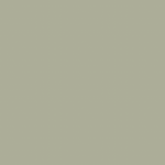 Colors of the Year 2022: Olive Sprig by PPG