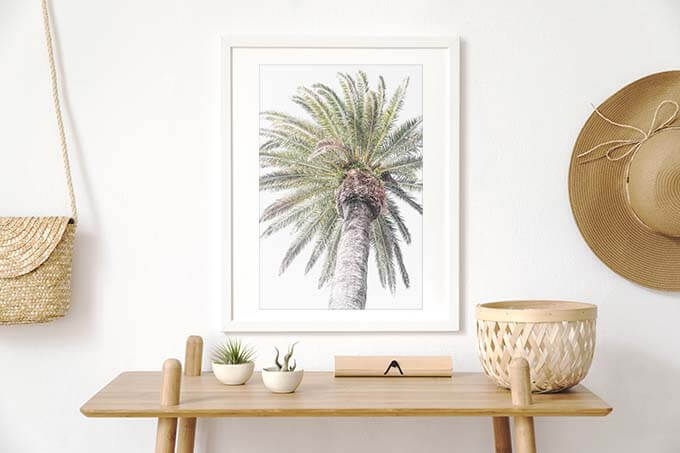 Palm Tree No 5 by Cattie Coyle Photography