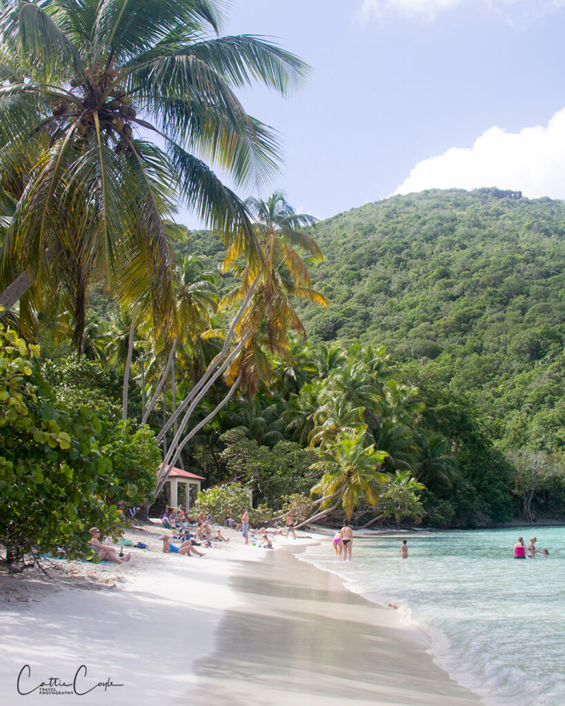 Maho Bay, St John, USVI by Cattie Coyle Photography. © 2015, all rights reserved.