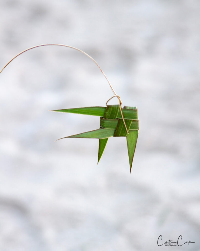 Palm leaf art, St John, USVI by Cattie Coyle Photography. © 2015, all rights reserved.