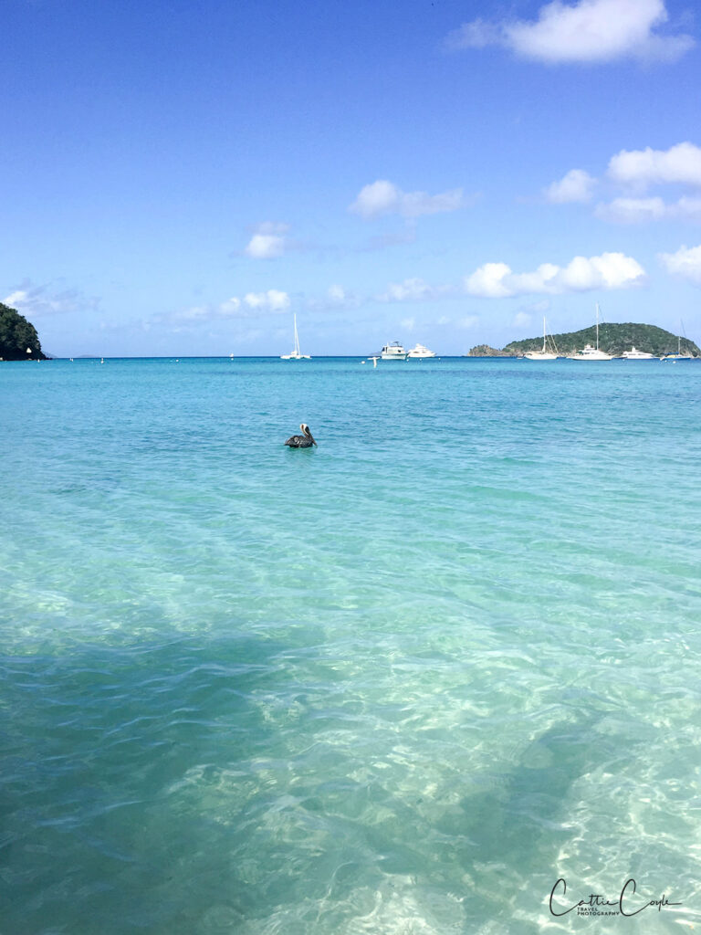 Maho Bay, St John, USVI by Cattie Coyle Photography. © 2015, all rights reserved.