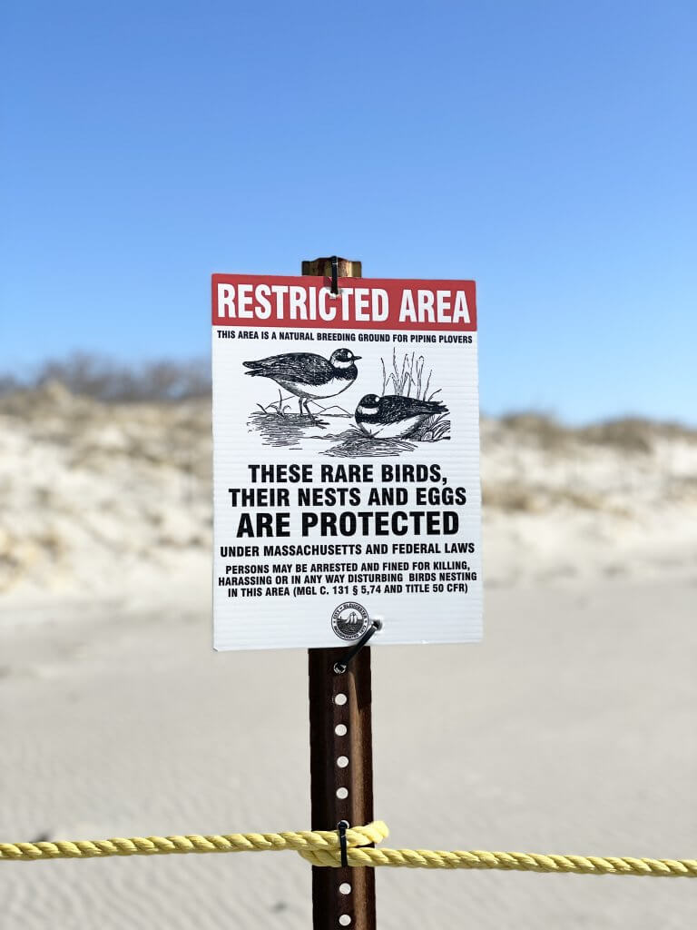 Piping Plover sign Cattie Coyle Photography