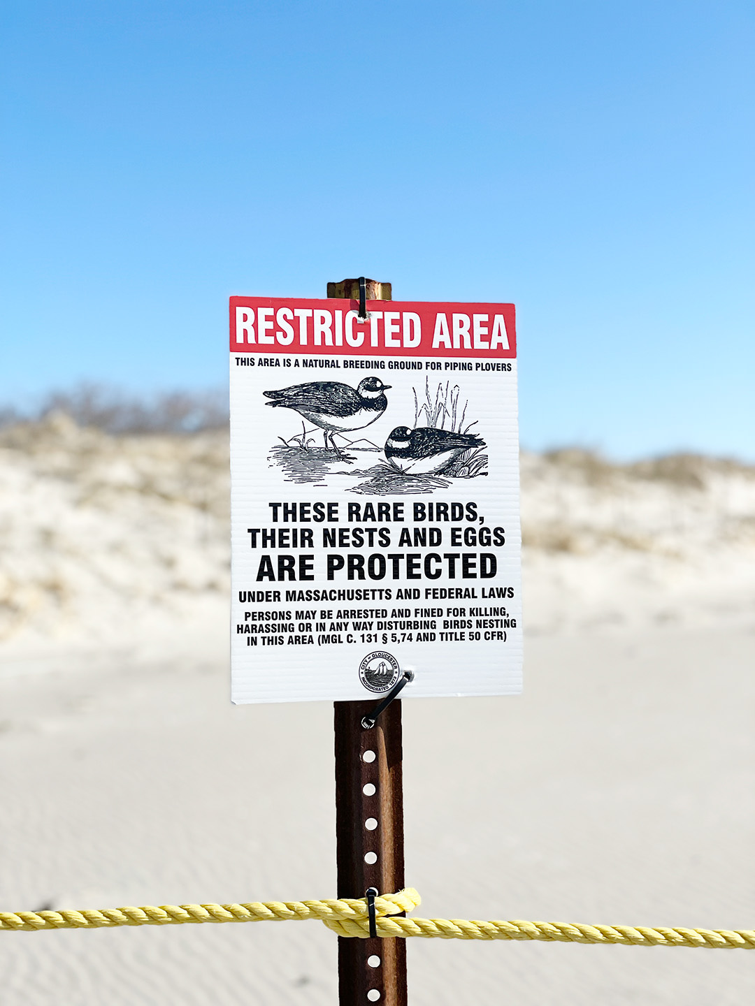 Sign at Good Harbor Beach, Gloucester, MA, by Cattie Coyle Photography. © 2017, all rights reserved.