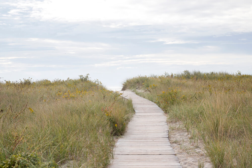 Walk through the dunes to Good Harbor Beach by Cattie Coyle Photography