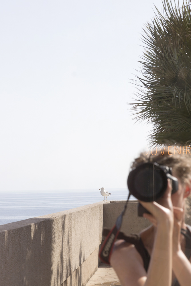 Cattie Coyle with seagull friend in Monaco. © 2019, all rights reserved.