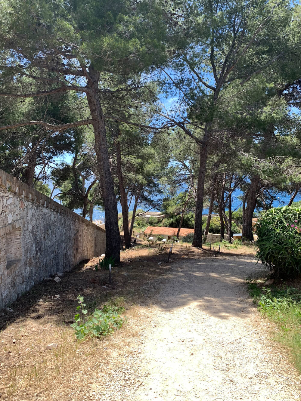 Wooded area behind the tower, Batterie du Graillon, Cap d'Antibes, France by Cattie Coyle Photography