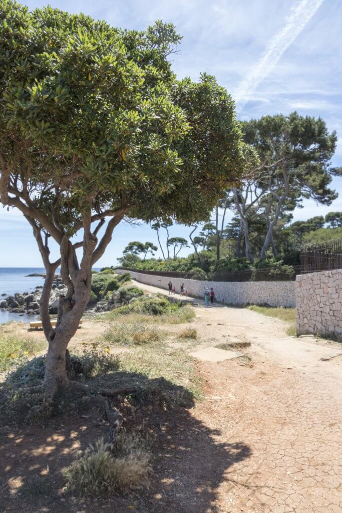 Walking Antibes to Juan-les-Pins via the Sentier de tirepoil foot path, Cap d'Antibes, France by Cattie Coyle Photography. © 2019, all rights reserved.