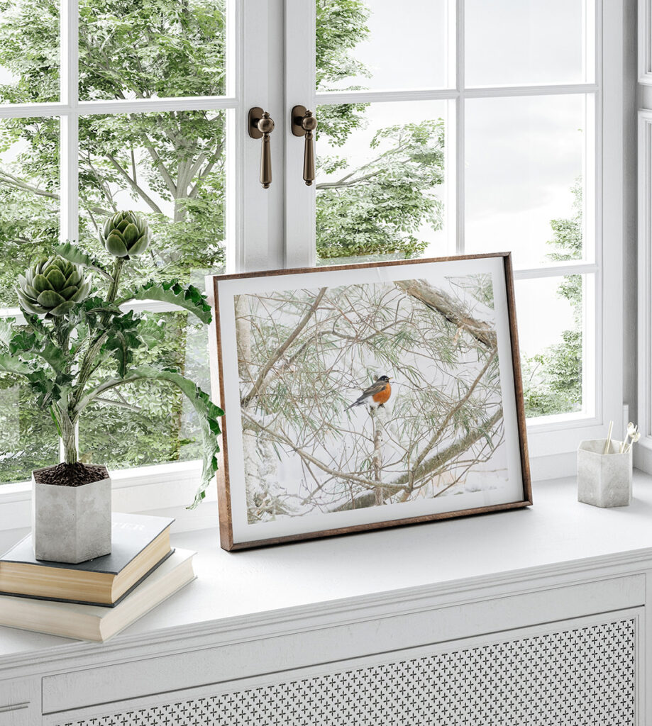 America Robin - Art print by Cattie Coyle Photography in window. © 2018, all rights reserved.