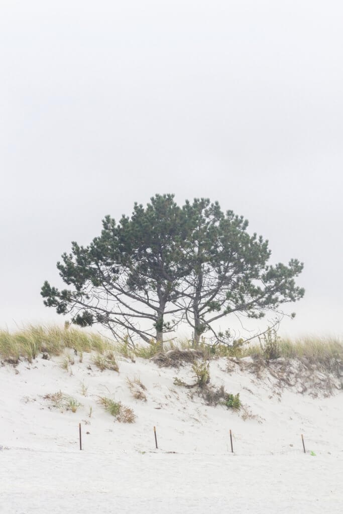Foggy afternoon at Wingaersheek Beach by Cattie Coyle Photography