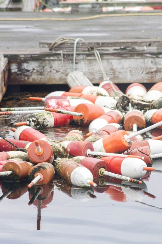 Buoys in Annisquam, MA | Cattie Coyle Photography