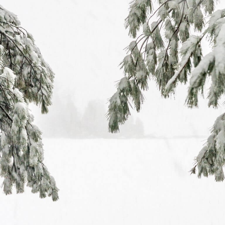 A Slomad Winter on Goose Cove Part 2