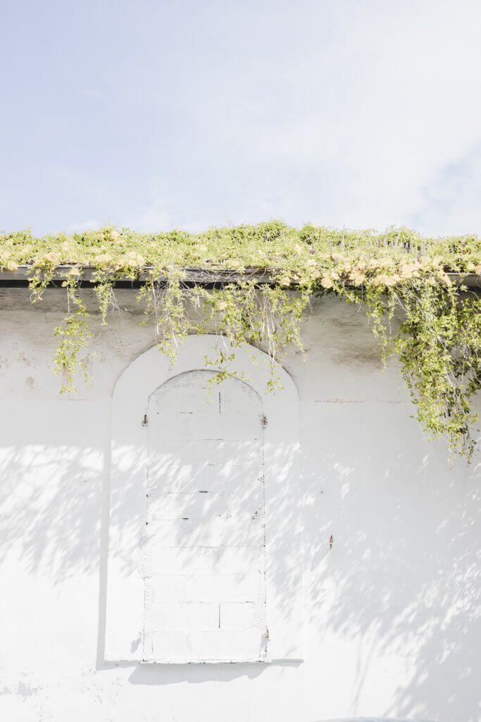 Architecture and greenery on the way to Beaulieu-sur-Mer | Cattie Coyle Photography