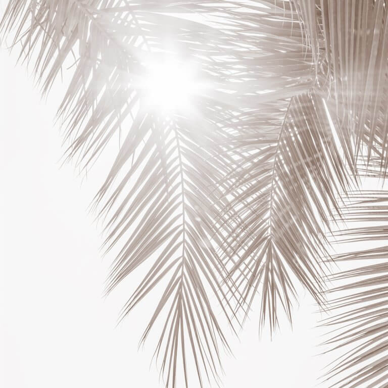 Palm tree art print by Cattie Coyle Photography