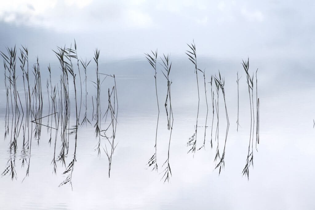 Reflections No 1 - Fine art print by Cattie Coyle Photography
