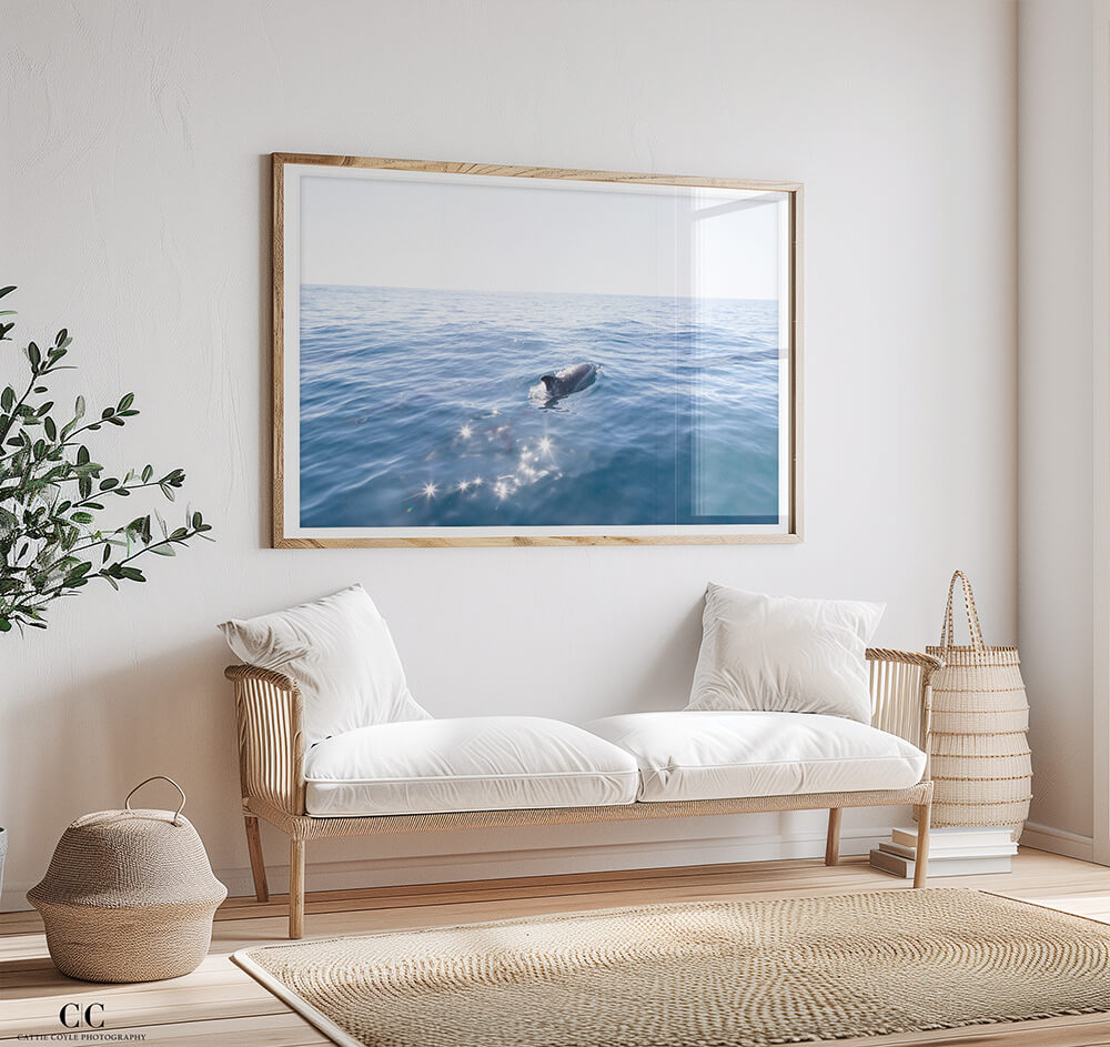 Dolphins and Sun Glitter - Fine art print by Cattie Coyle Photography - All rights reserved