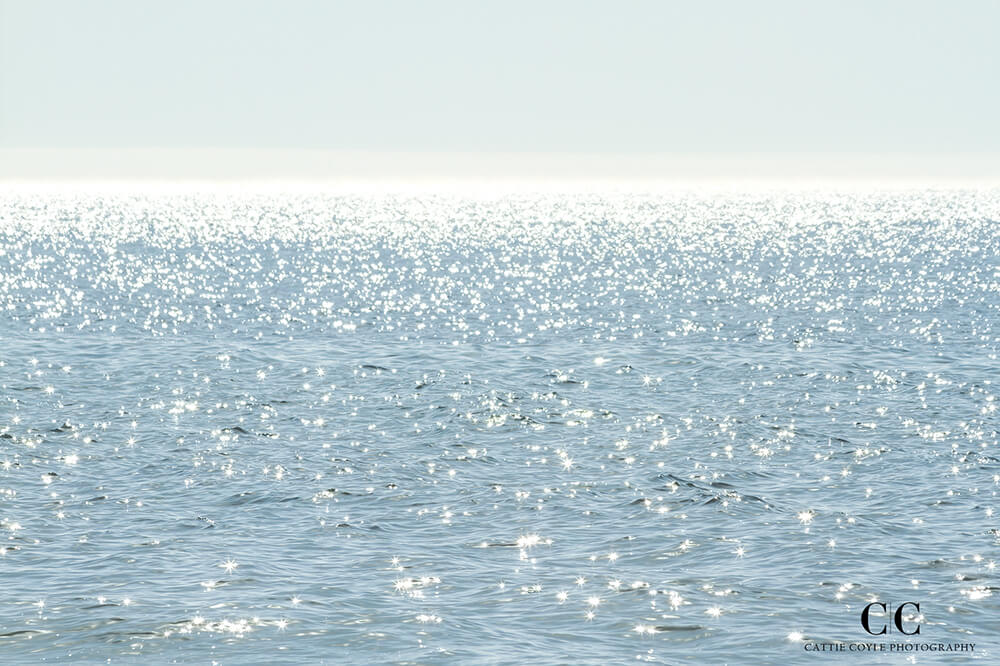 Sun Glitter - Fine art print by Cattie Coyle Photography - All rights reserved